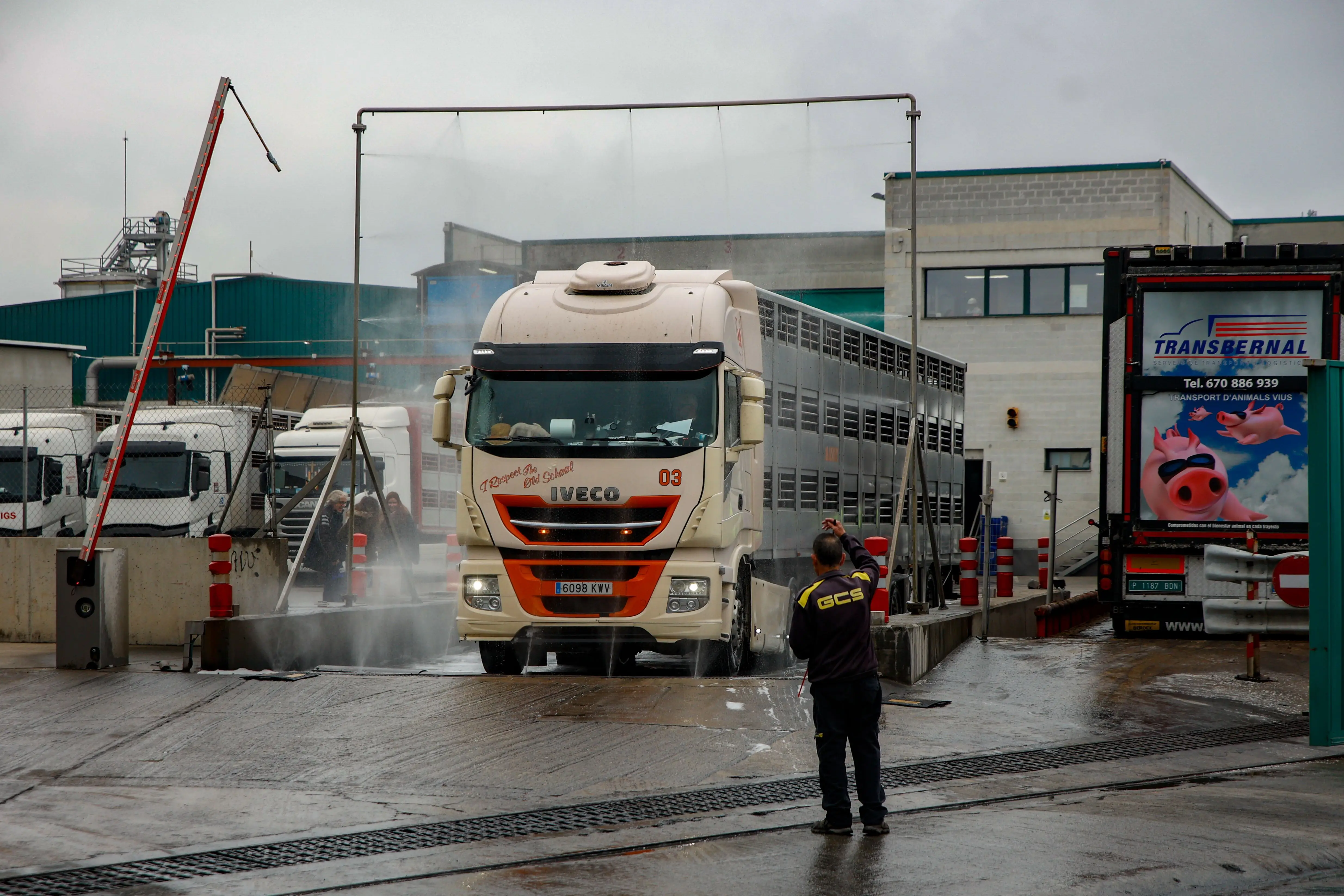Imagen 1 de Crece la inquietud entre los trabajadores del sector porcino tras los primeros despidos por la peste: “Los ERTE serán cruciales”