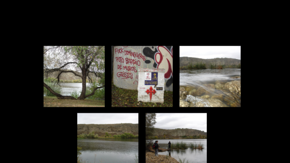 Ruta por la ribera de la laguna del Campillo