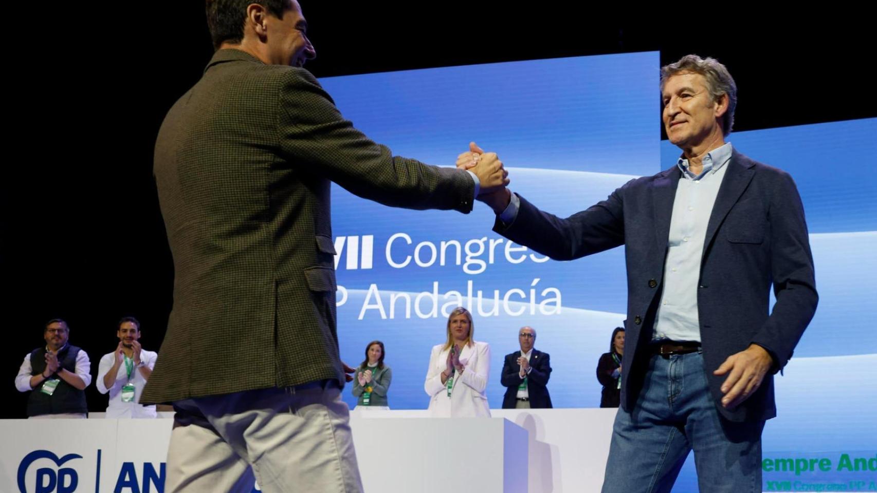 Feijóo apuesta por la vía andaluza para llegar a Moncloa: distancia con Vox, rechazo a la corrupción y servicios públicos