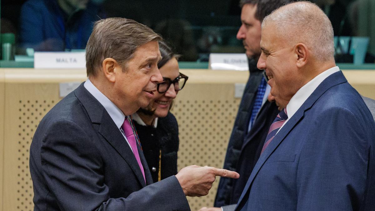 Planas llama al “realismo” y asegura que habrá pescado en Navidad