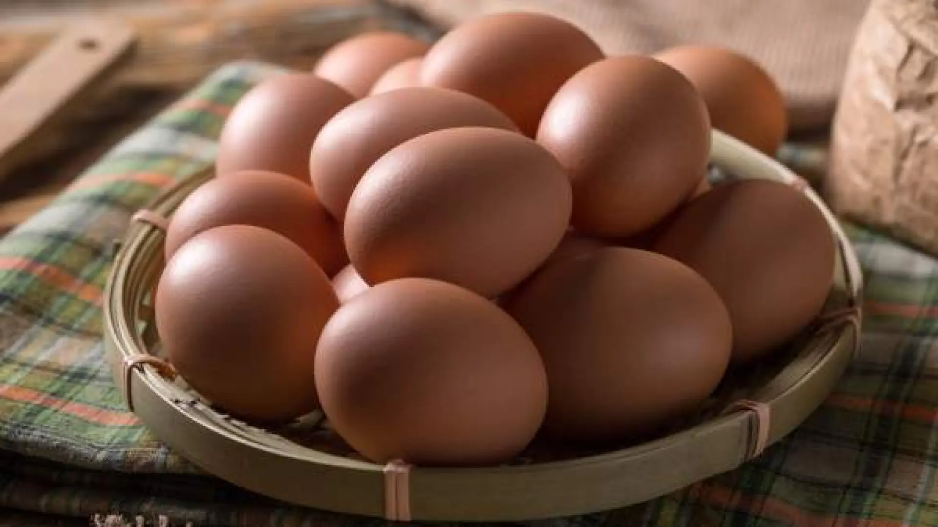 Qué pasará con los huevos de gallinas camperas tras la orden del Gobierno por la gripe aviar