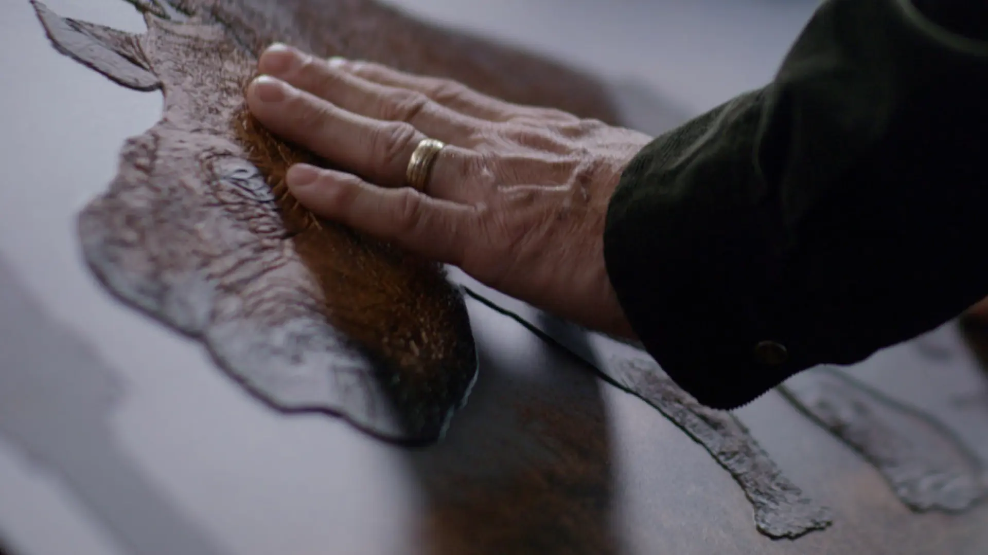 Imagen 1 de Accesibilidad y emociones: la llave para conectar con la dignidad