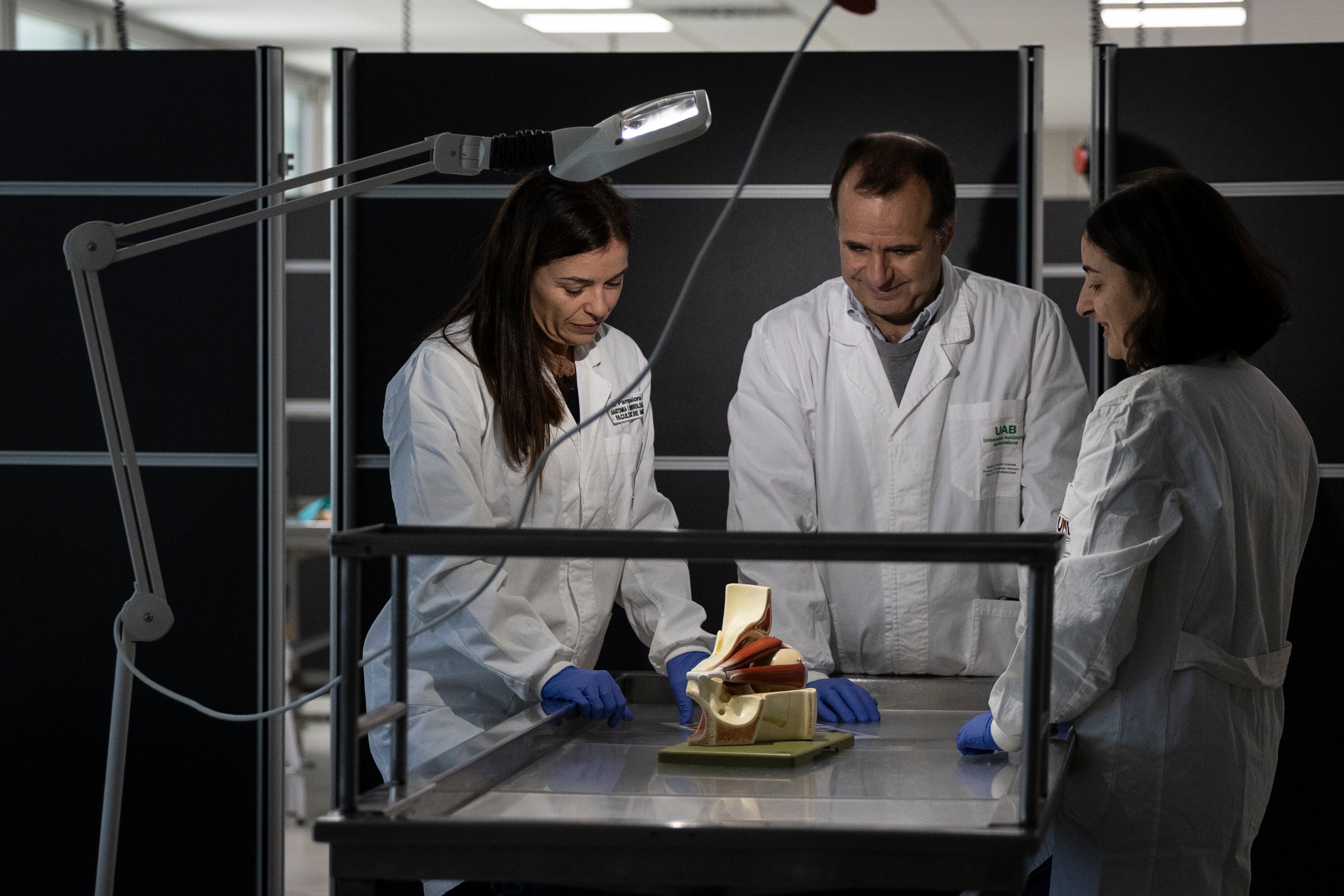 Anatomía de un cronista