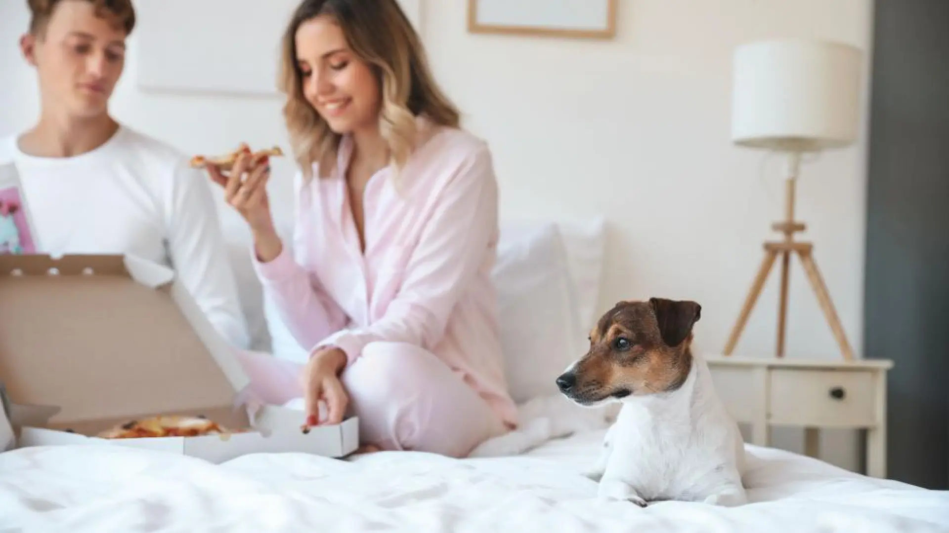 Custodia compartida de las mascotas: cuando el divorcio también afecta a los animales de compañía