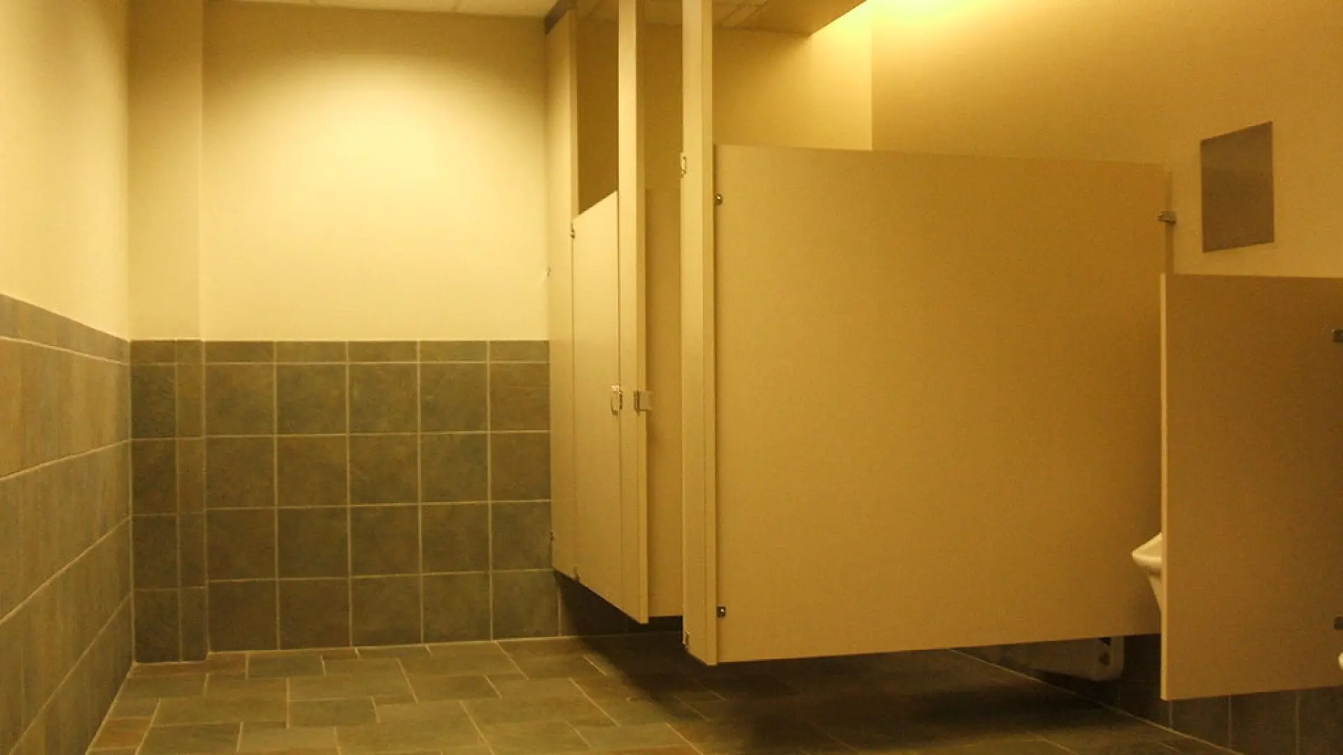 No tires de la cadena en Suiza de noche y usa otras zapatillas para ir al servicio en Japón: normas de higiene que debes saber si viajas