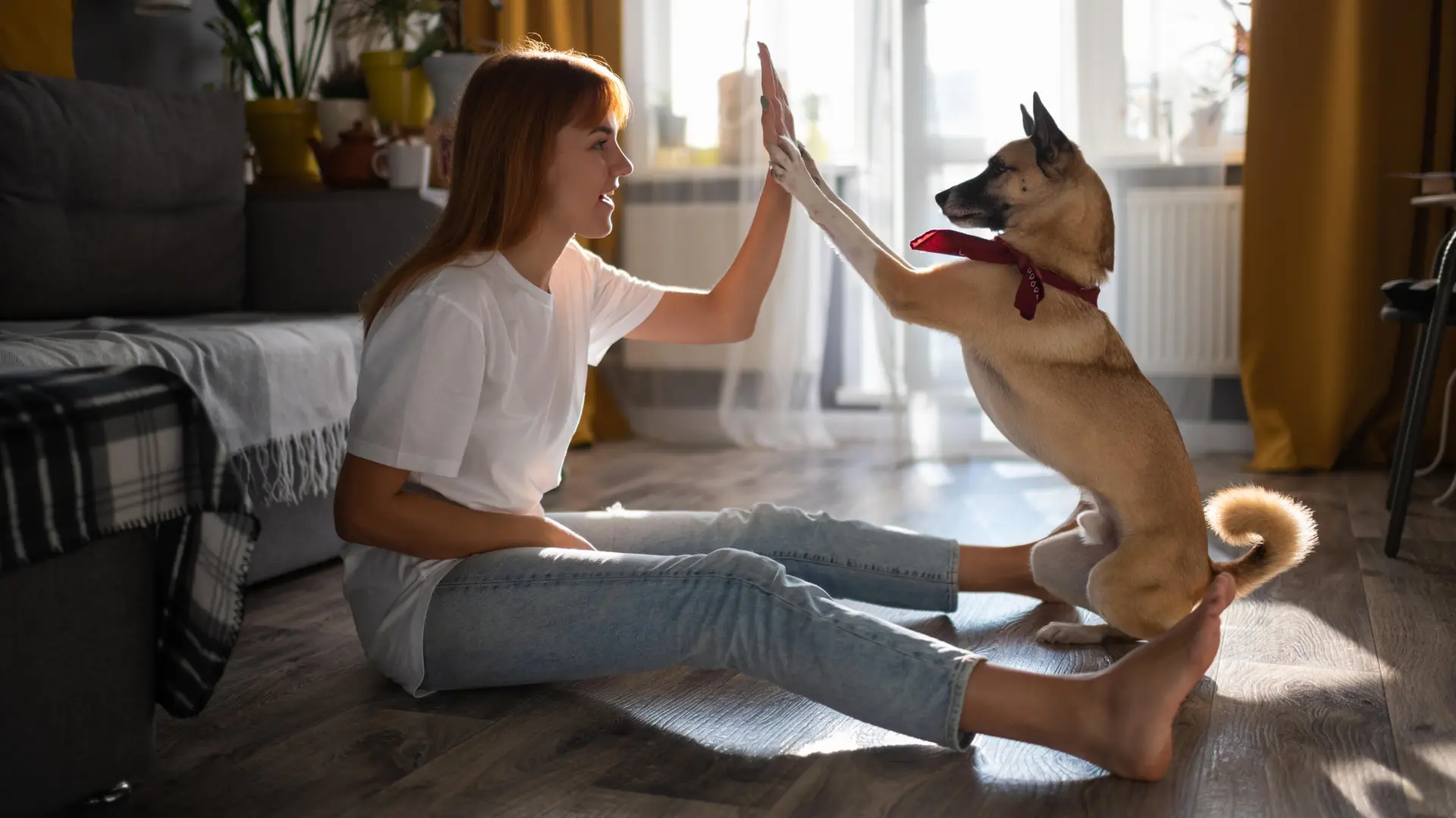 Equilibrio canino: "Cuando tu perro sigue siendo perro, pero sabe cuándo parar"