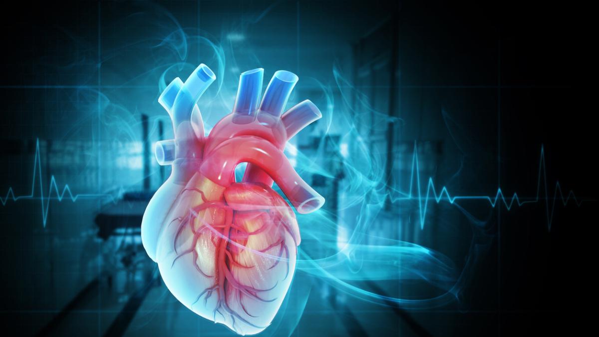 ¿Inteligencia Artificial para mejorar el cierre de la orejuela auricular izquierda?