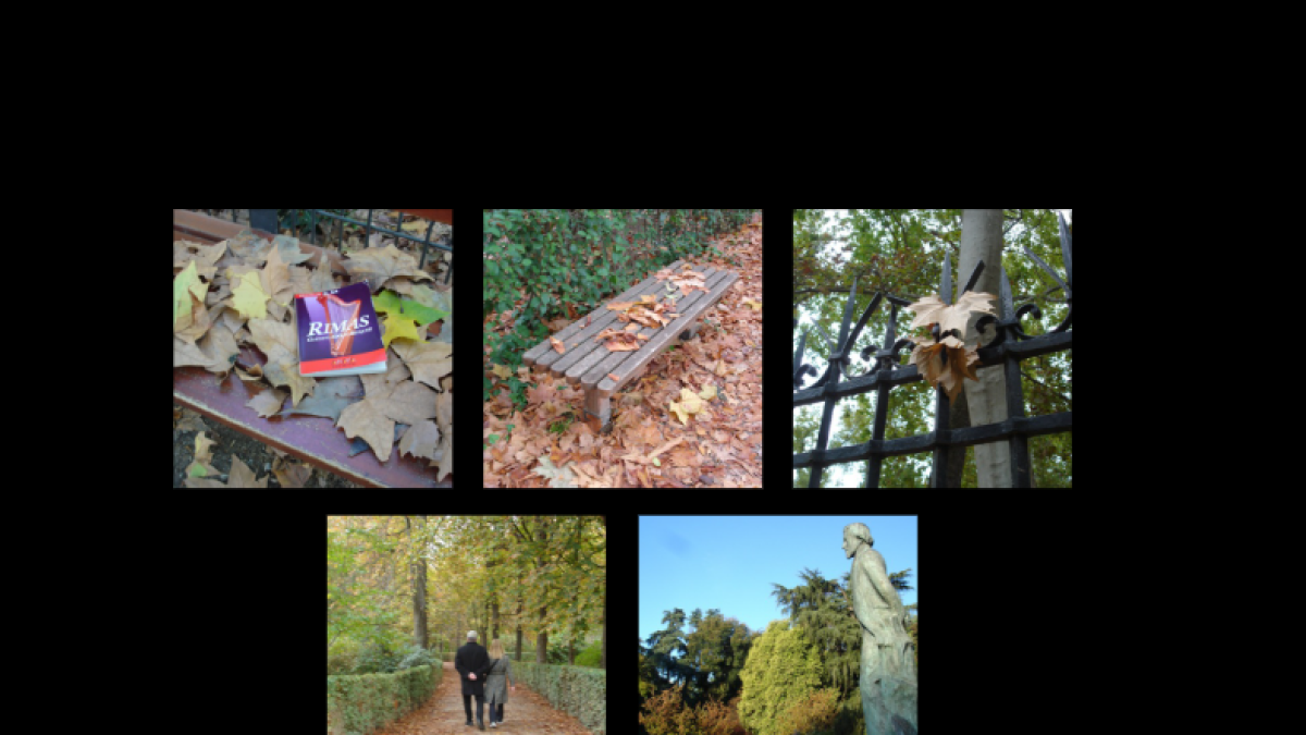 La poesía del otoño en los parques de Madrid