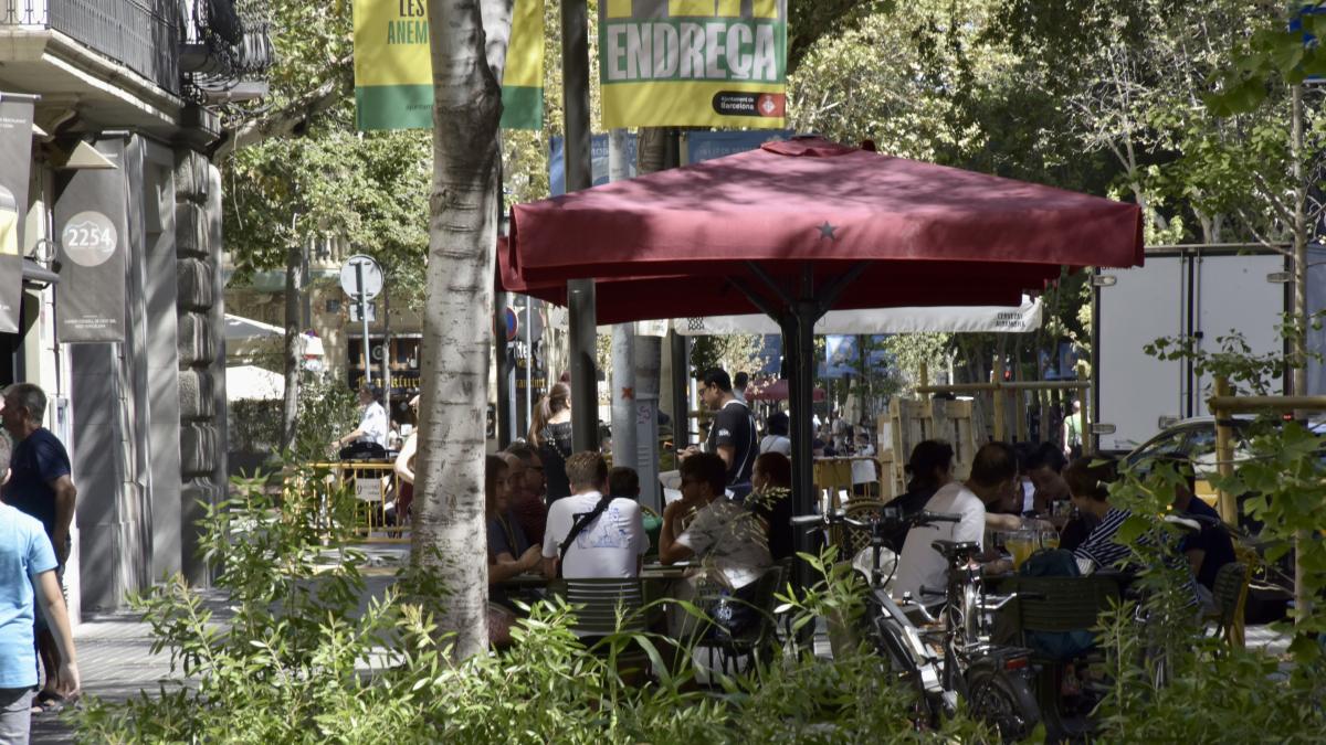 Ejes verdes que son líneas rojas