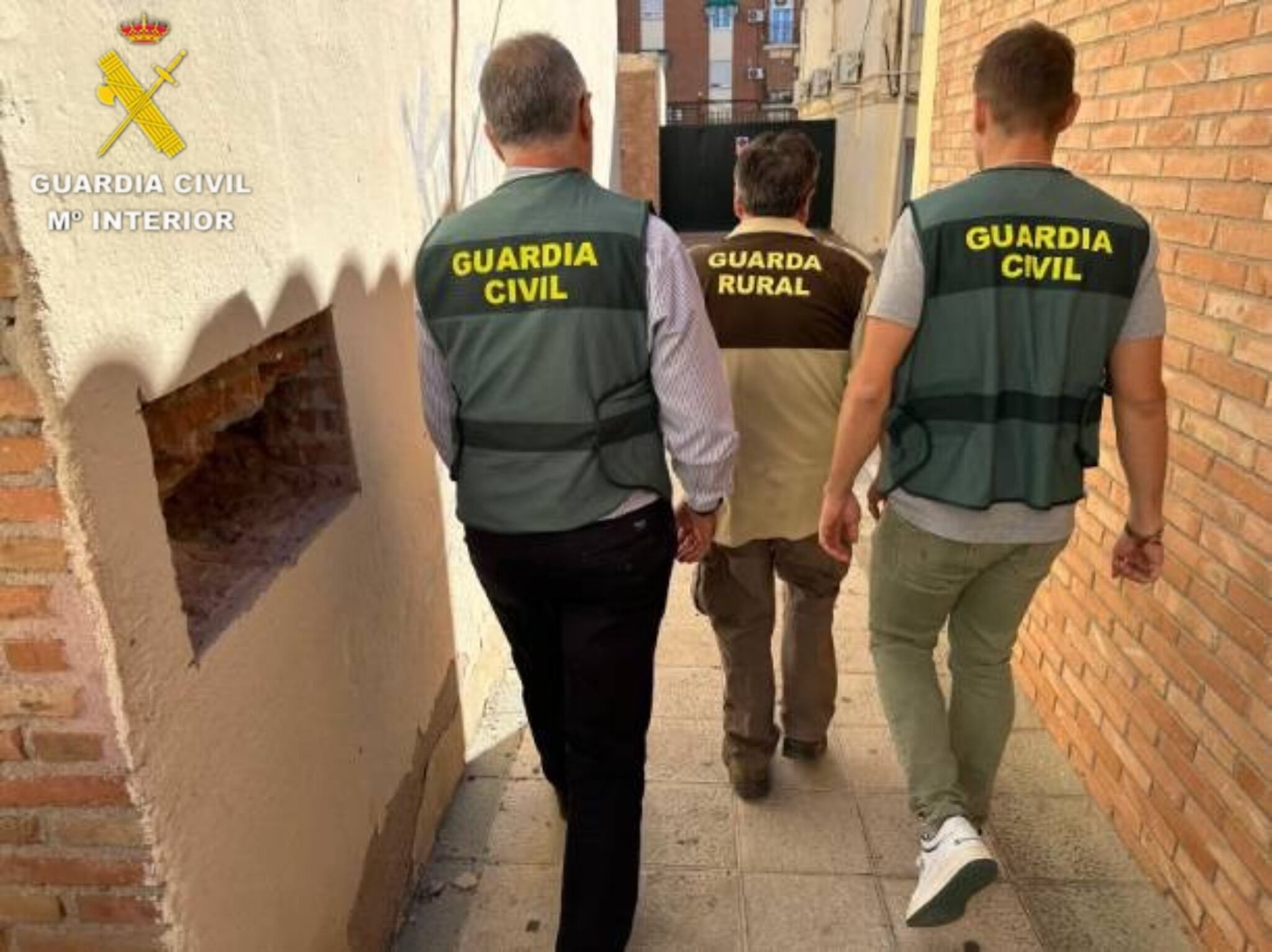 Detenido el guarda de un coto de caza por abatir con un rifle a un águila imperial ibérica en Toledo