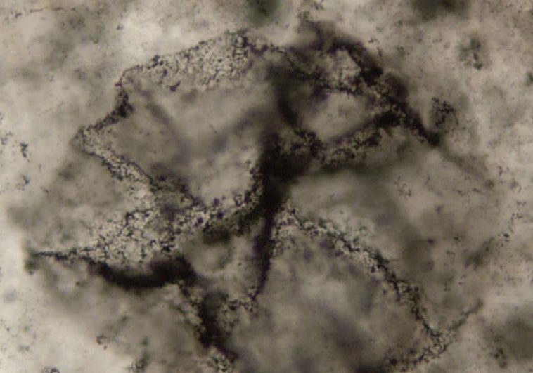 Captan, por primera vez, el 'eco químico' de la vida de hace 3.300 millones de años