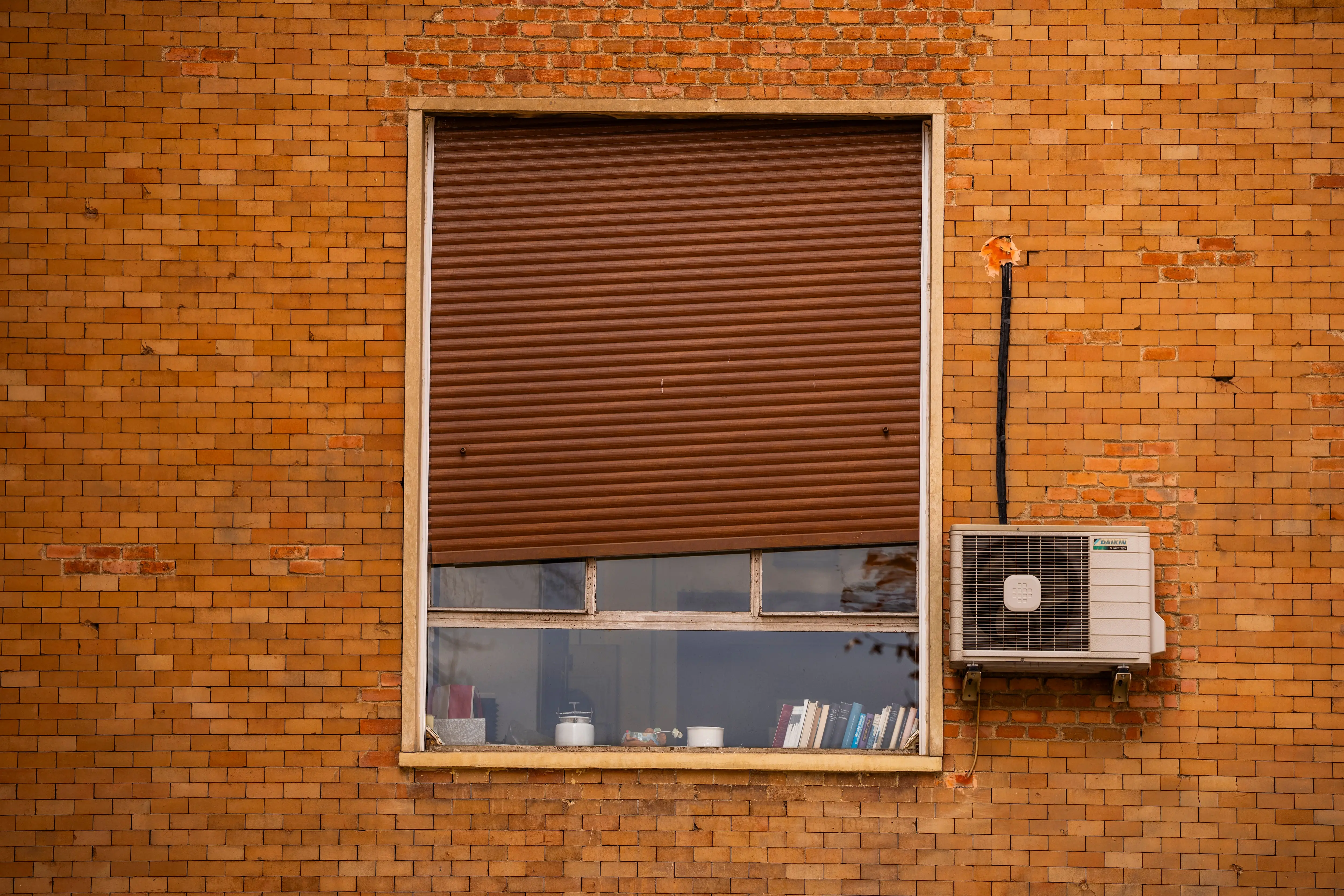 Imagen 1 de La agonía de la Complutense