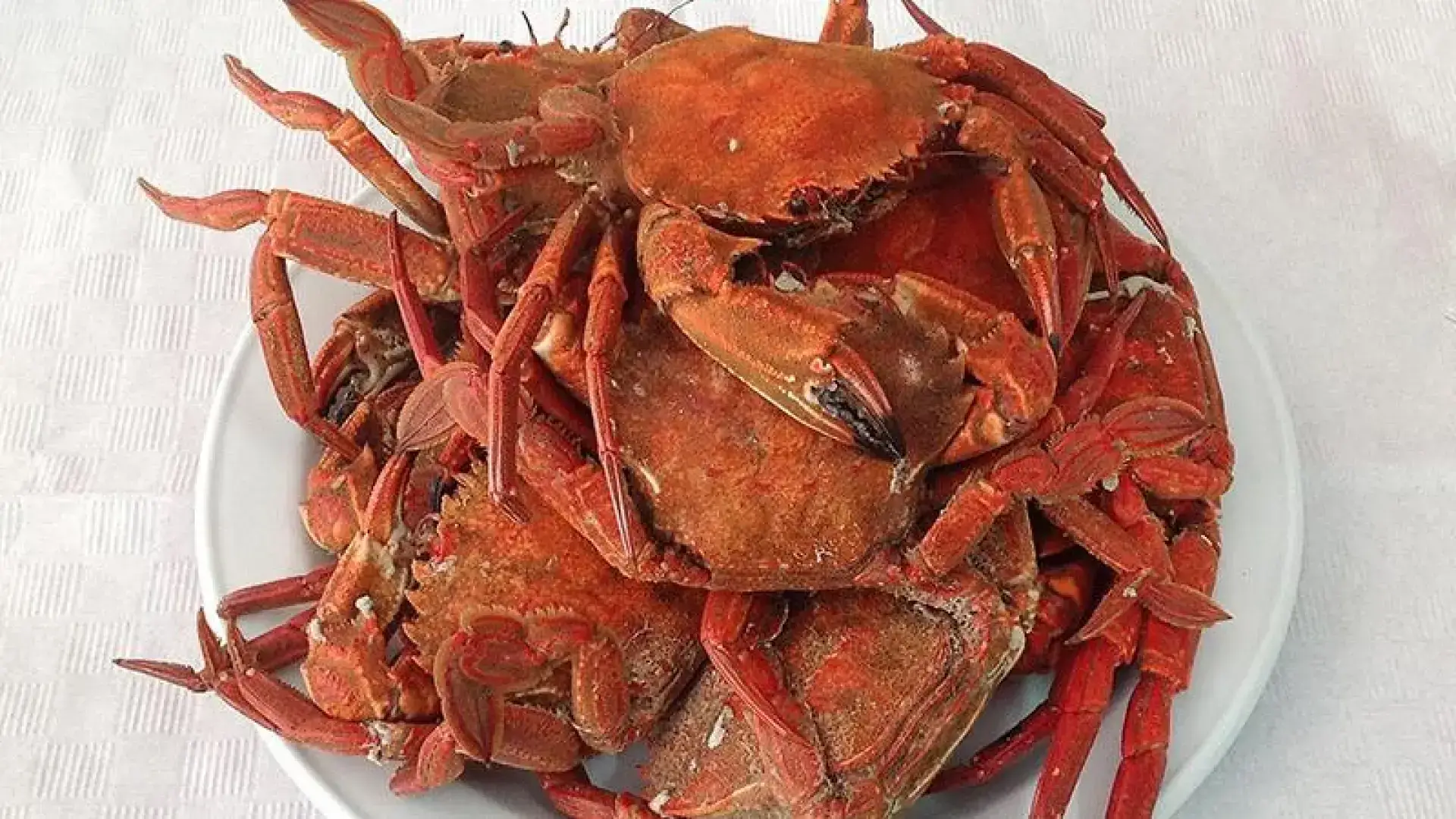 Imagen 1 de El marisco, mejor fresco: cómo cocer nécoras y centollos para conservar todo su sabor