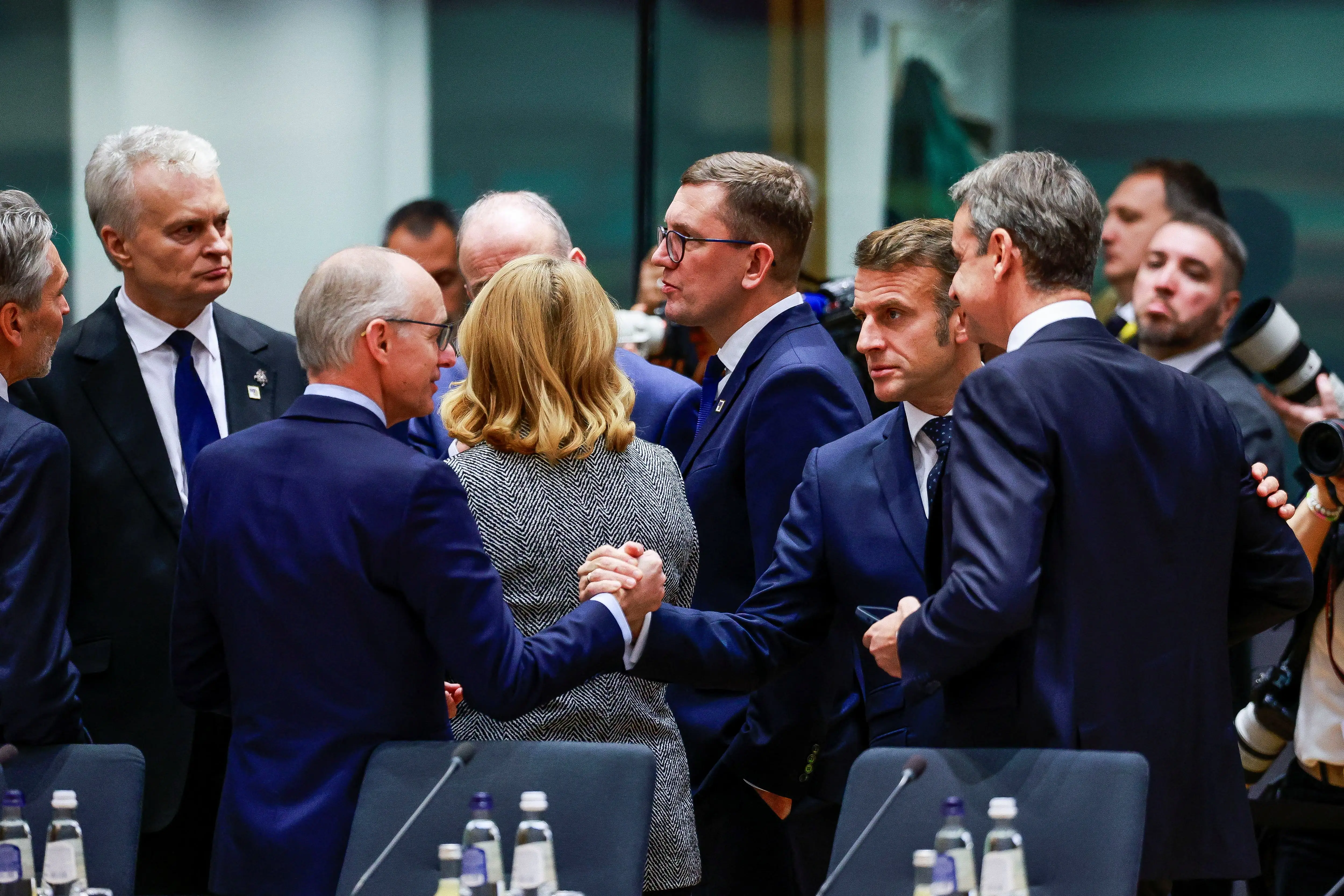 Imagen 1 de Ni cochinillos ni leones: herbívoros tenaces