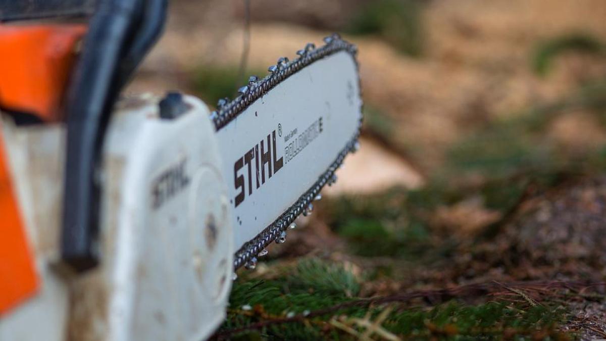 Amenaza con una motosierra a su primo por despertarle de madrugada para pedirle 20 euros