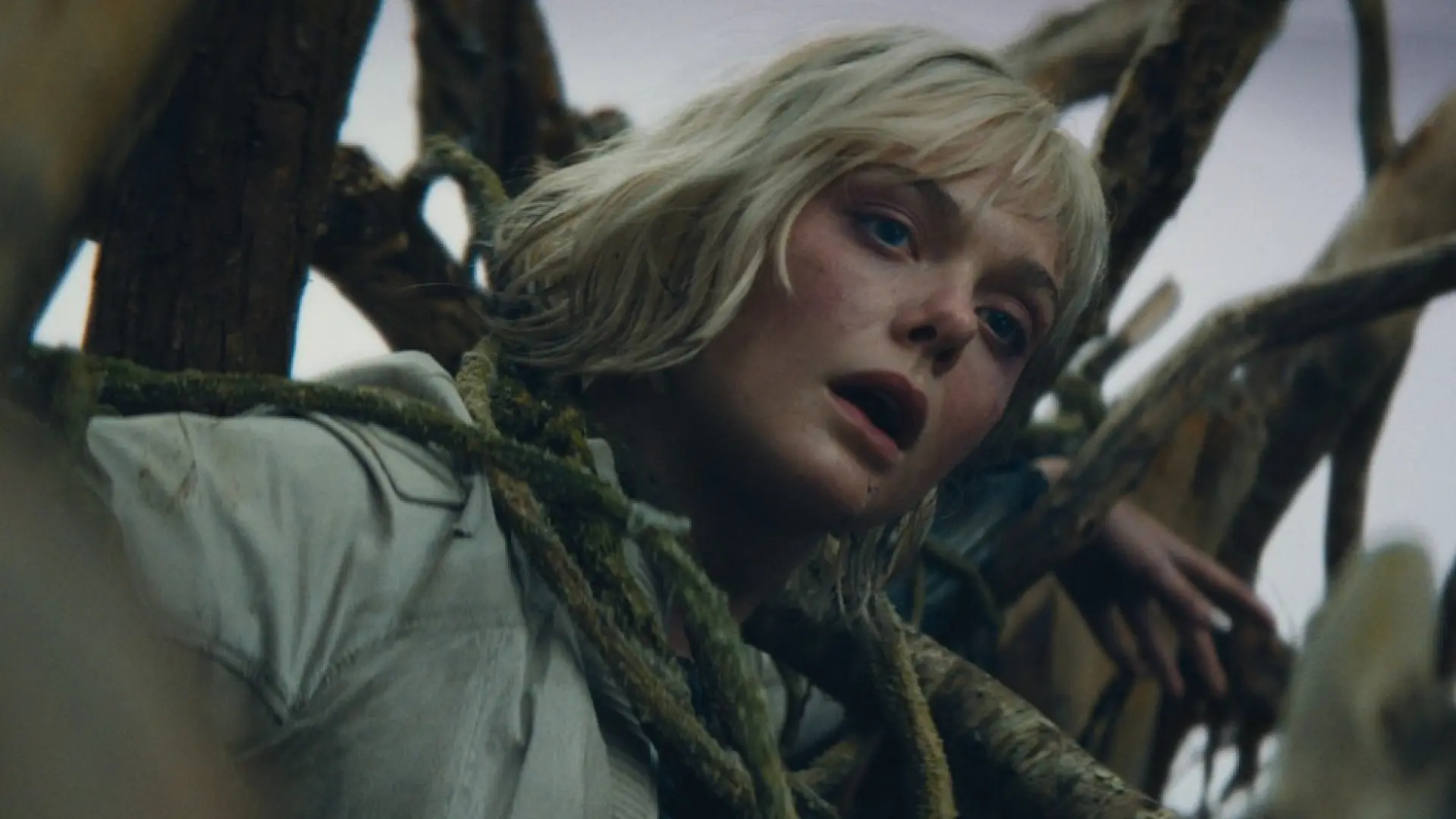 'Predator': ¿en qué orden debes ver las películas para entender mejor 'Badlands'? Cronología definitiva