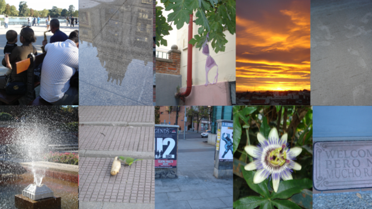 Del mismísimo saxo de Orfeo al felpudo sincero