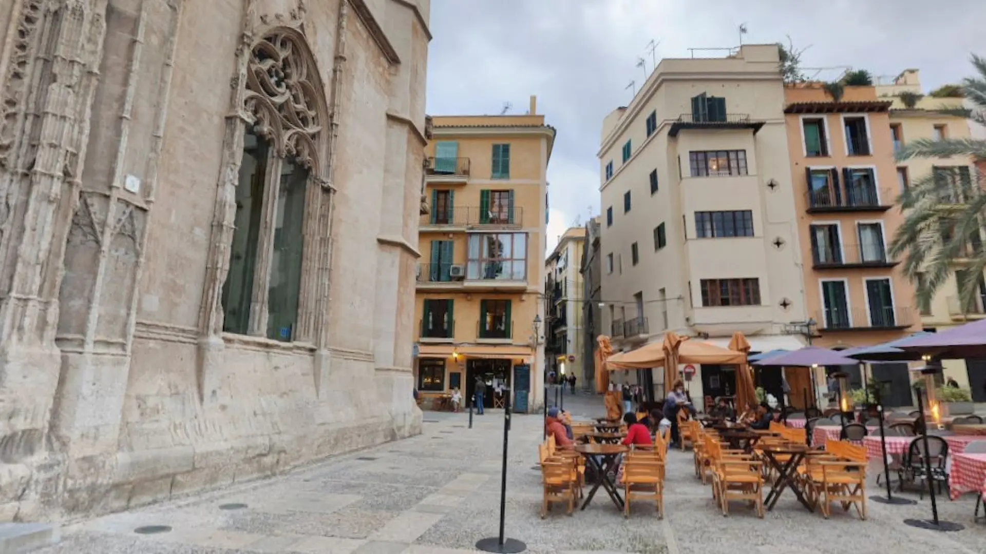 Detenida una mujer en Palma por intentar robar un perro por la calle y agredir a su dueño
