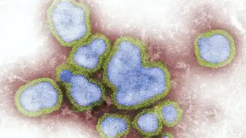 Imagen 1 de Europa urge a vacunar sin demora contra la gripe por la rápida expansión de la variante K