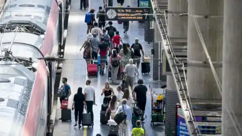 Imagen 1 de El sino del escarabajo tigre