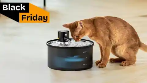 Imagen 1 de La fuente automática que tiene obsesionados a mis gatos está con descuento por el Black Friday