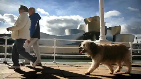 Imagen 1 de Gildas y bilbainitos