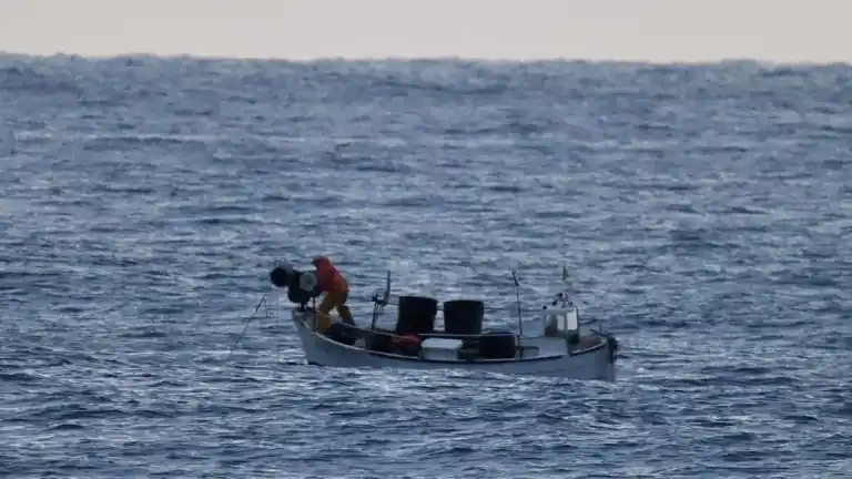 Imagen 1 de Los pescadores de Palamós avisan que esta Navidad habrá menos gambas y serán más caras