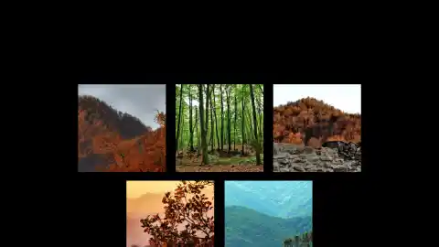 Imagen 1 de Los paisajes de La Garrotxa teñidos de rojo