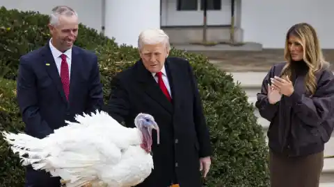 Imagen 1 de De Acción de Gracias a gracias por nada