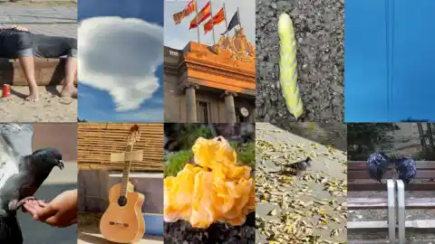 Imagen 1 de De la hora de la siesta al vampiro despistado