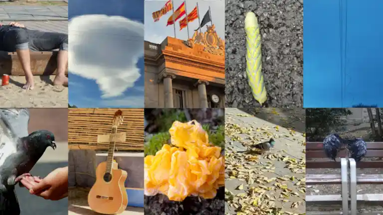 Imagen 1 de De la hora de la siesta al vampiro despistado