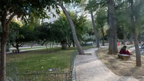 Imagen 1 de Qué se sabe del hallazgo de dos chicas sin vida en un parque de Jaén: de madrugada, cerca de la biblioteca y sin violencia