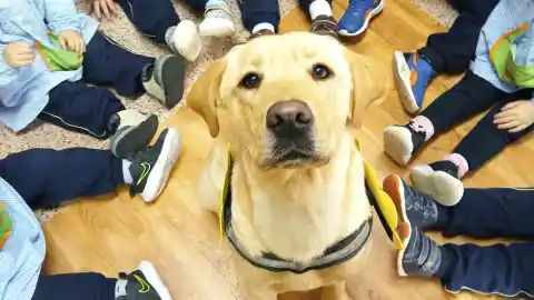 Imagen 1 de La magia del vínculo entre personas y animales: la historia de Humanymal