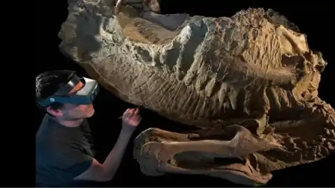 Imagen 1 de Encontrada una momia perfecta de dinosaurio gracias a una capa de arcilla