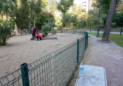 Imagen 1 de Amigos de las dos adolescentes aparecidas muertas en Jaén aseguran que sufrieron ‘bullying’ en el instituto