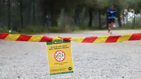 Imagen 1 de El Govern multará a las personas que accedan a Collserola por los casos de jabalíes muertos por peste porcina africana