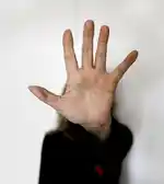 Imagen 1 de El insólito 'superpoder' de María: lleva 42 años manteniendo a raya el VIH sin ninguna medicación