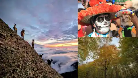 Imagen 1 de El amanecer de Montserrat, las Catrinas y el otoño del Montseny, mejores fotos de noviembre