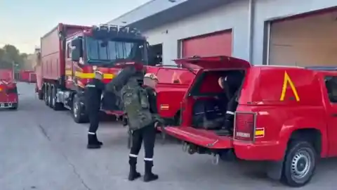 Imagen 1 de Comienza el despliegue de la UME en Cataluña para controlar el brote de peste porcina que deja ya 14 jabalíes muertos