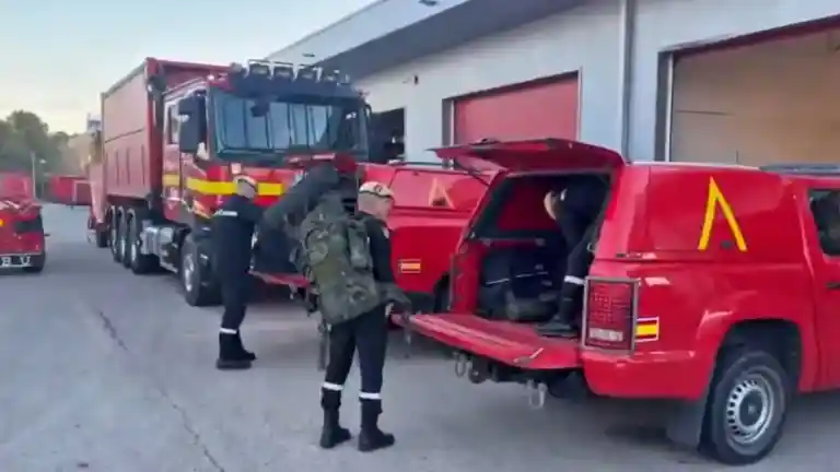 Imagen 1 de Comienza el despliegue de la UME en Cataluña para controlar el brote de peste porcina que deja ya 14 jabalíes muertos