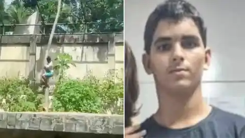 Imagen 1 de El joven que entró en la jaula de una leona en Brasil tenía esquizofrenia y el sueño de ser domador