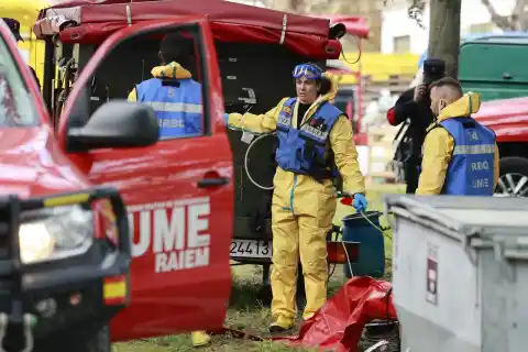 Imagen 1 de El Ministerio de Agricultura eleva a nueve los casos de jabalíes muertos por la peste porcina en Barcelona