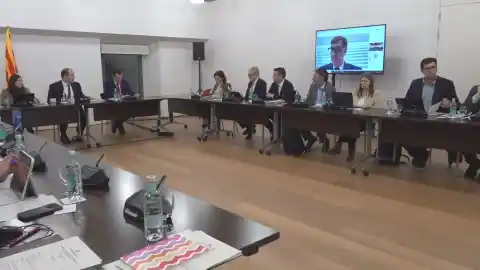 Imagen 1 de Illa asiste desde México a la reunión del Govern de seguimiento de la peste porcina africana