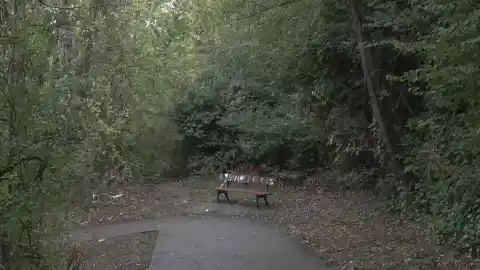 Imagen 1 de Lo que se sabe de los cuatro detenidos por la agresión sexual a una joven en Pamplona