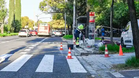 Imagen 1 de Comienzan las obras del carril protegido de la EMT en la avenida Blasco Ibáñez de Valencia