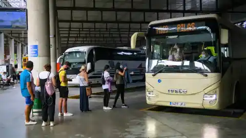 Imagen 1 de Los buses metropolitanos de Sevilla ganan un 5,6% de viajeros este año hasta superar los siete millones