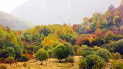 Imagen 1 de Los mejores planes para disfrutar de la provincia de León este noviembre