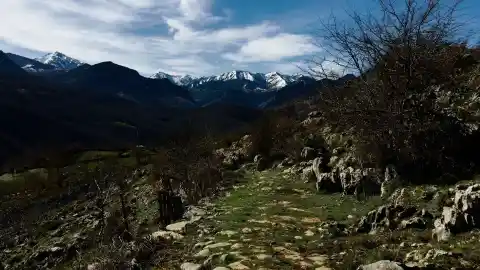 Imagen 1 de La ruta de senderismo de Asturias entre castaños perfecta para hacer en familia este otoño