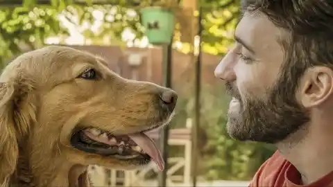 Imagen 1 de El contagio emocional, la razón por la que tu perro siente tu tristeza y tu alegría