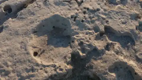 Imagen 1 de Descubren huellas de elefantes prehistóricos en dunas fósiles de Murcia